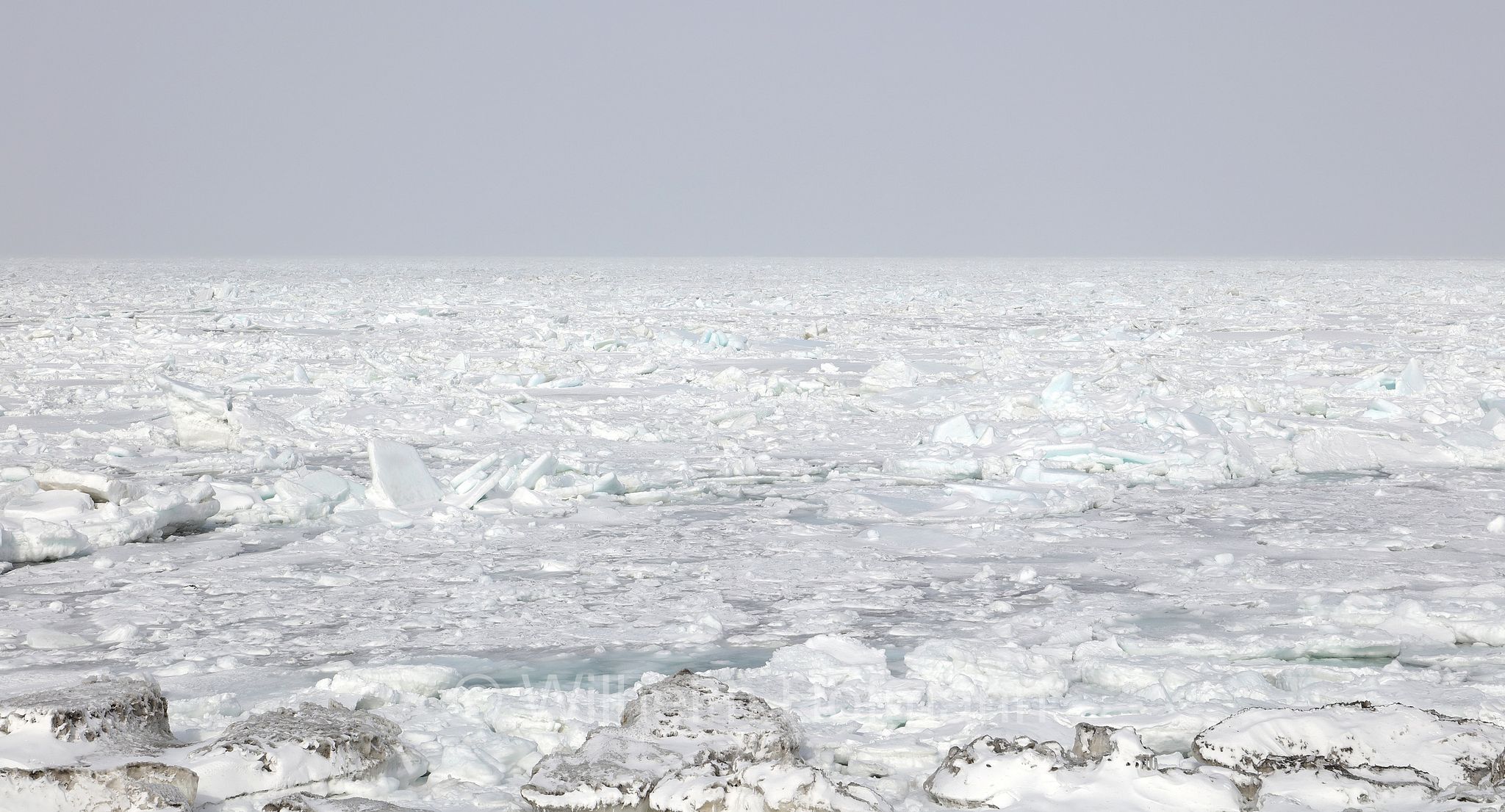 Nemuro Strait, Drift Ice, Notsuke Peninsula, Notsuke Halbinsel, Penisola di Notsuke, Hokkaidō, Hokkaido, Japan, Giappone