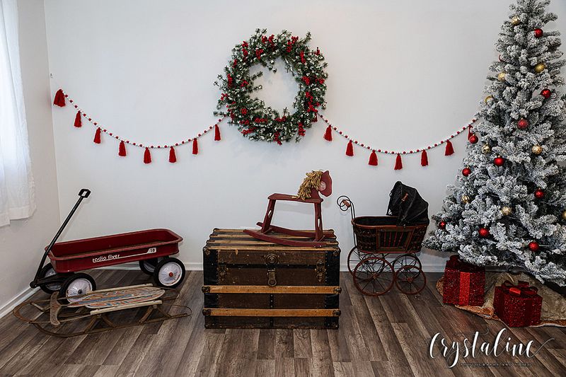 Holiday Mini Sessions 2024