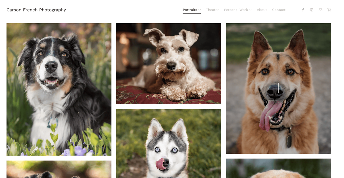 Portafolio de fotografía de mascotas de Carson French