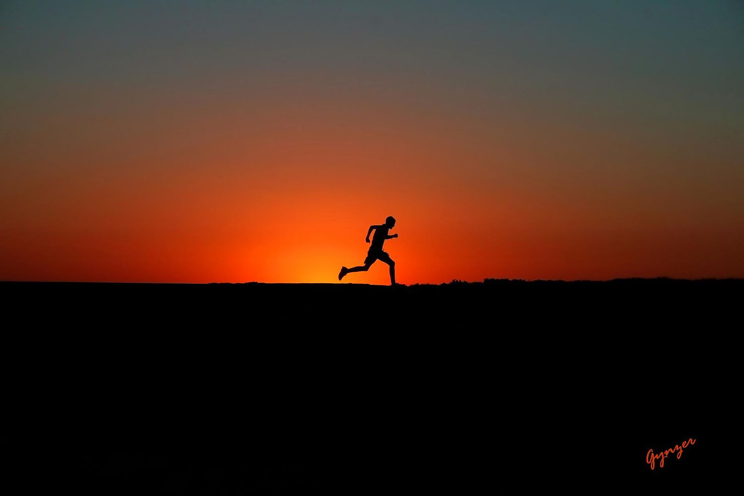 Gynzer's Photography