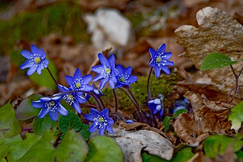 Aastaajad, mis loovad meis hetki.