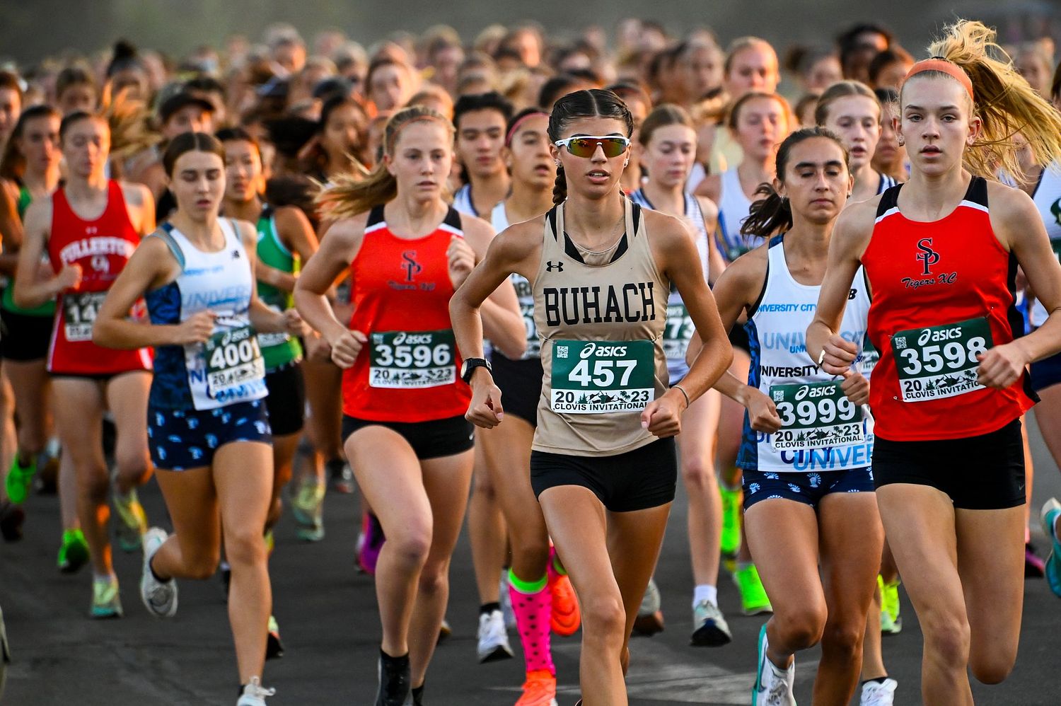 Mark Ingraham's Action & Nature Photos