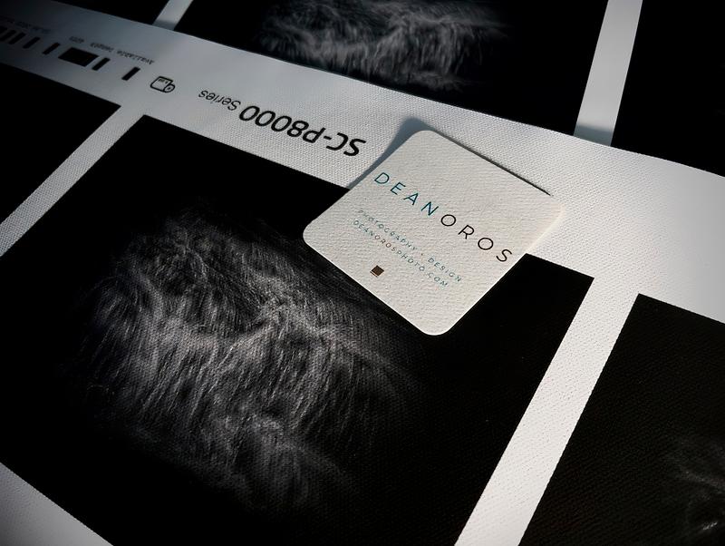 Introducing... virtual galleries and print shop