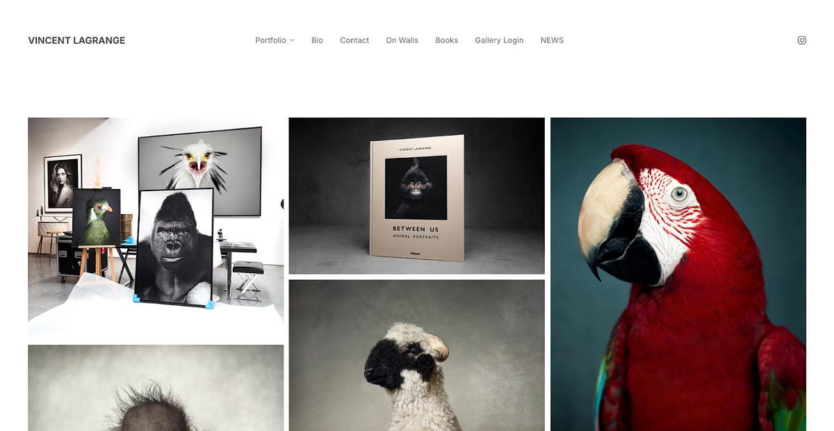 Vincent's wildlife photography website