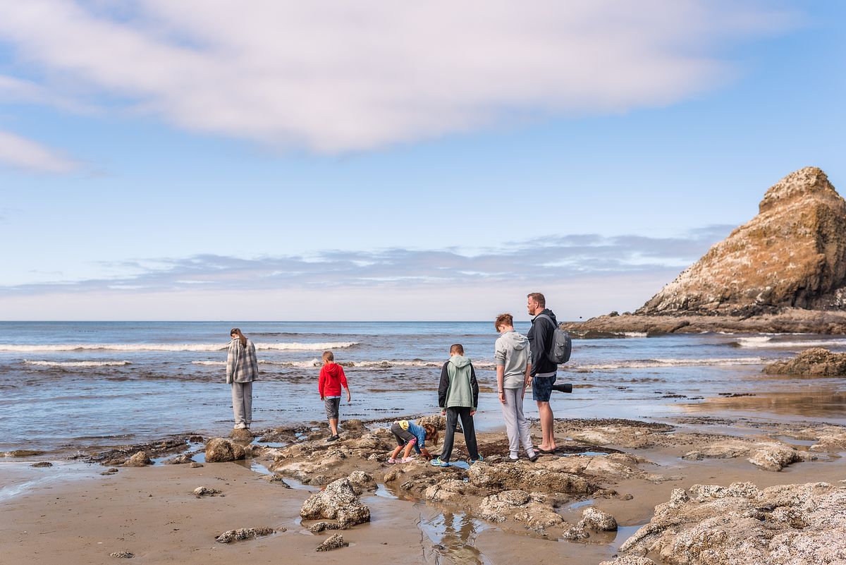 family tide-pooling adventure in Oregon with cranberry twp, pa newborn photographer