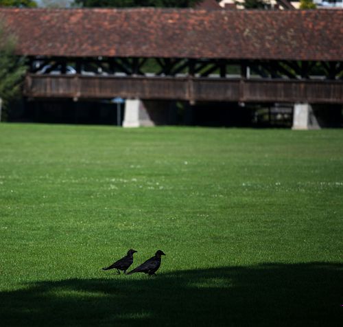Schützenmatte Burgdorf