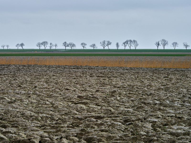 The Next Step (20 - 22 november 2026)