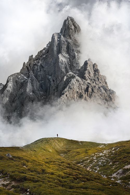 LAND