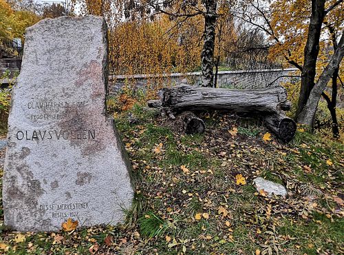 Vikinghistorie i Sarpsborg og Olavsdagene fotografert av Trond Johansen – fotograf Sarpsborg