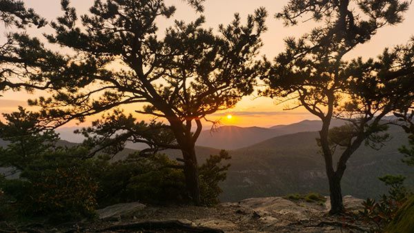 Jonathan Welch Media Arts