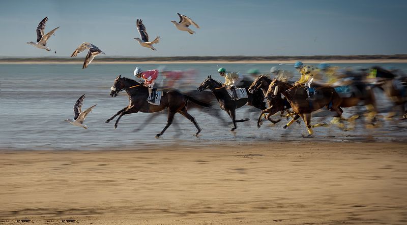 Carreras de Caballos de Sanlucar