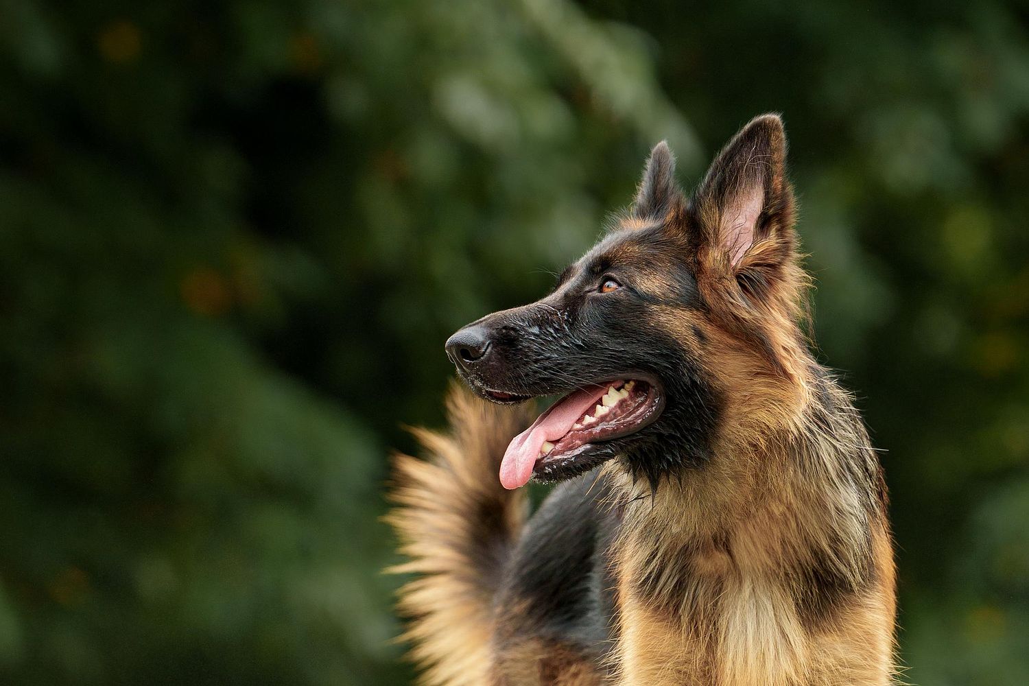 Sandra Ann Photography