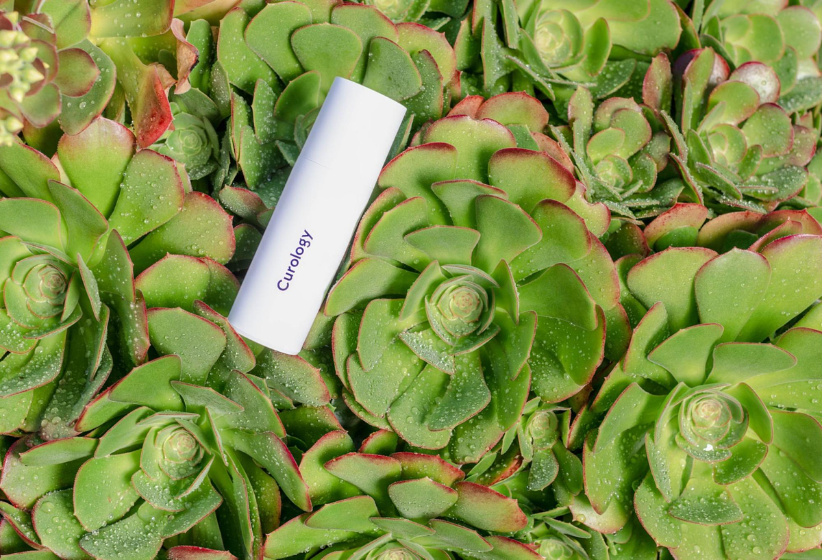 Продукт снят на зеленом листовом фоне