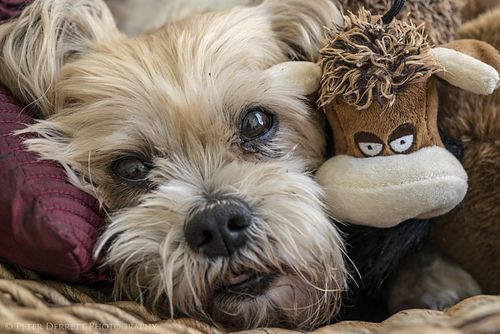 Beautiful 15-year-old Zoe