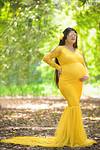 DP012 - Yellow Net Gown