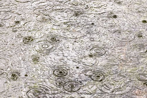 Circular raindrop waves