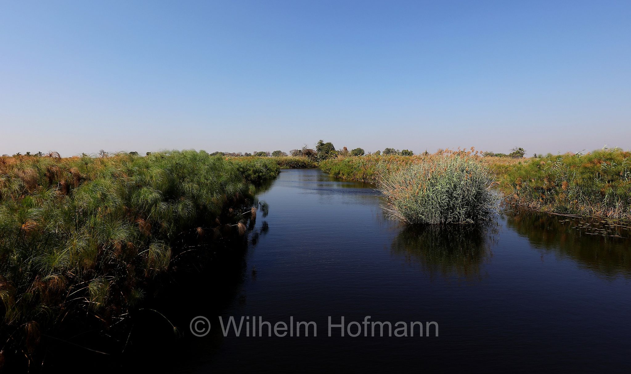 Okavango Delta, Okavango Grassland, Botswana, Republik Botsuana