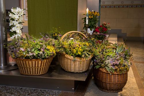 Kr&auml;uterstraussbinden