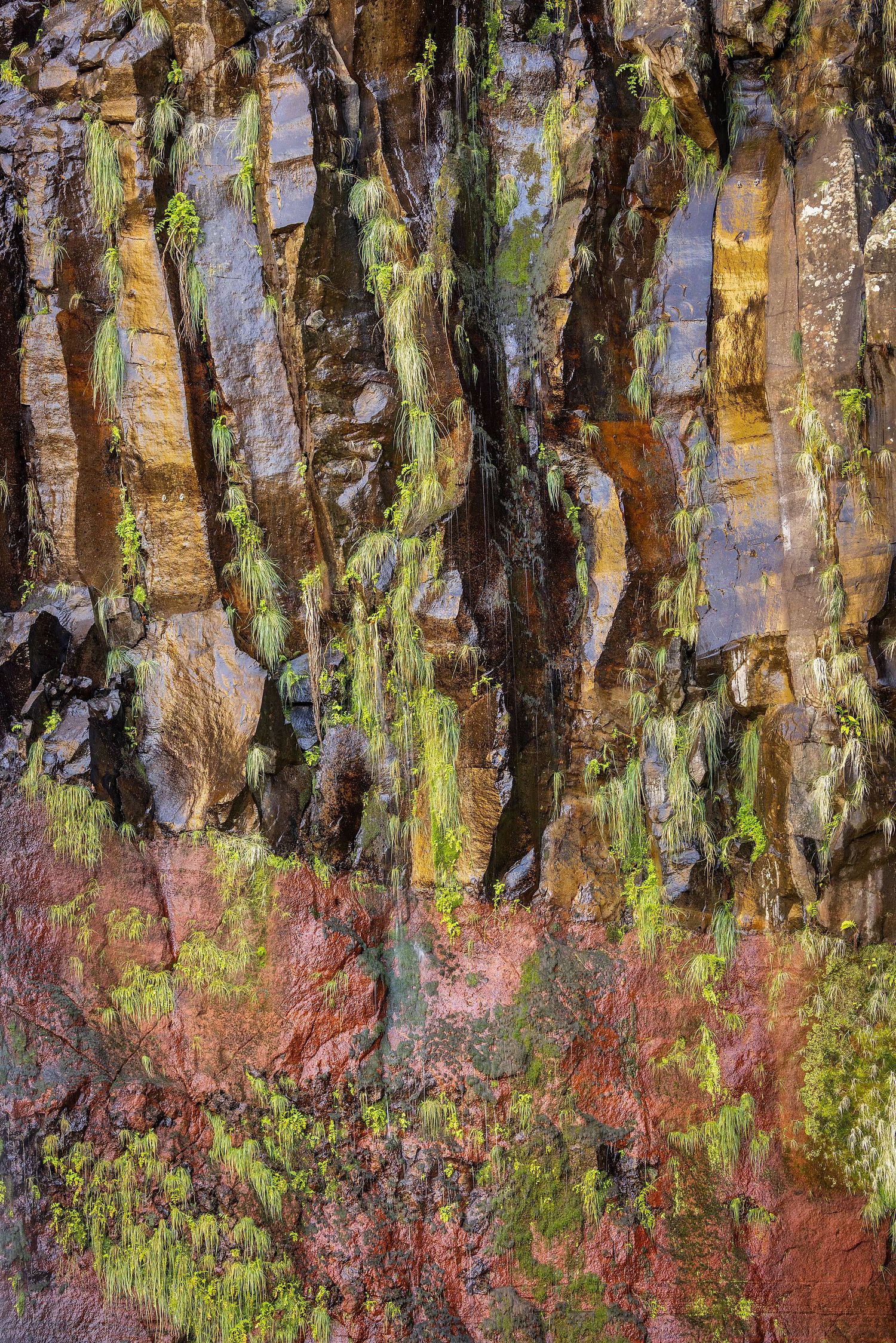 Detail at Risco waterfall