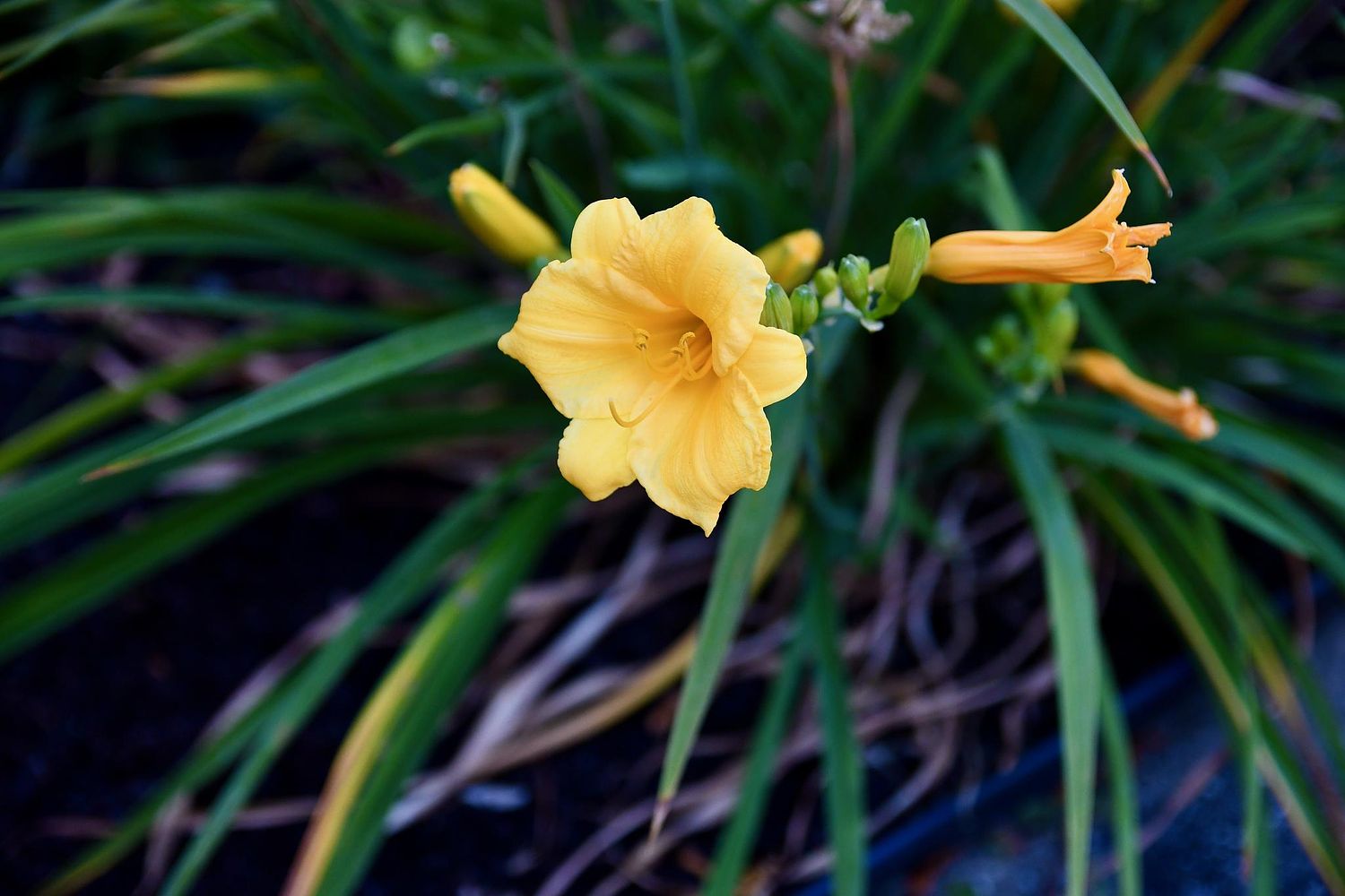 Jason Lynch Photography