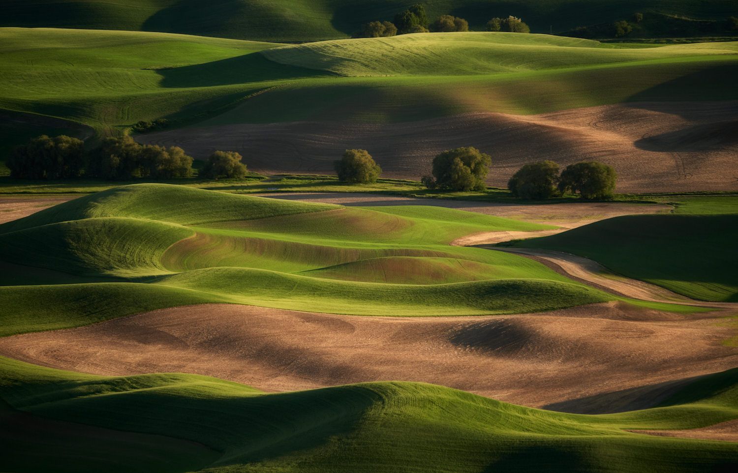 Bright Fame Photography