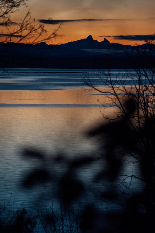 Contact & Booking info