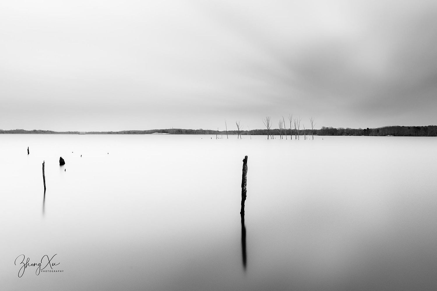 Photographic Society of New Jersey - 新泽西州协摄影协会